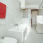Casa Rosia *